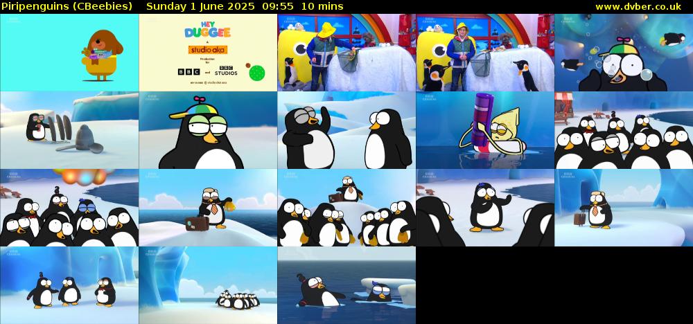 Piripenguins (CBeebies) Sunday 1 June 2025 09:55 - 10:05
