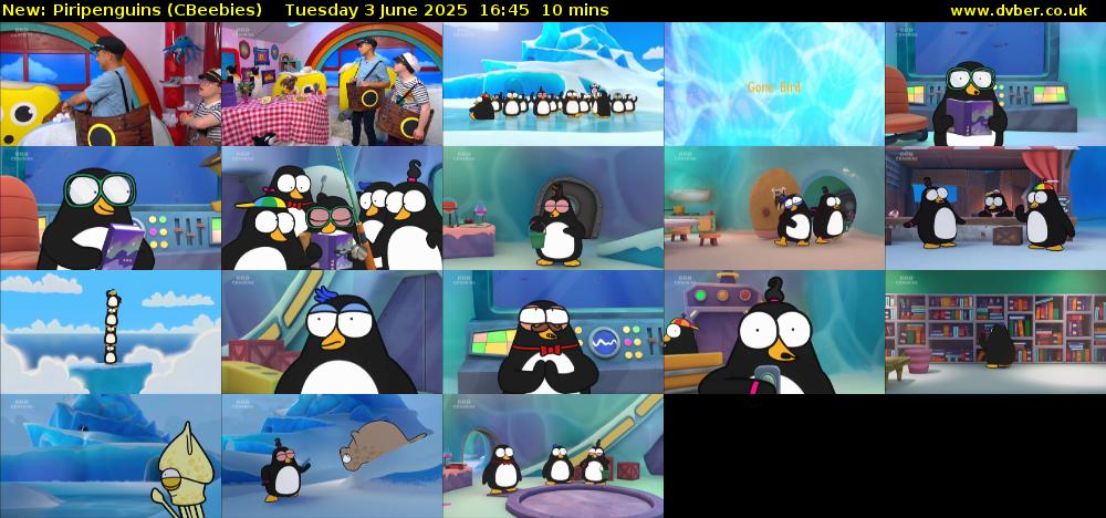 Piripenguins (CBeebies) Tuesday 3 June 2025 16:45 - 16:55