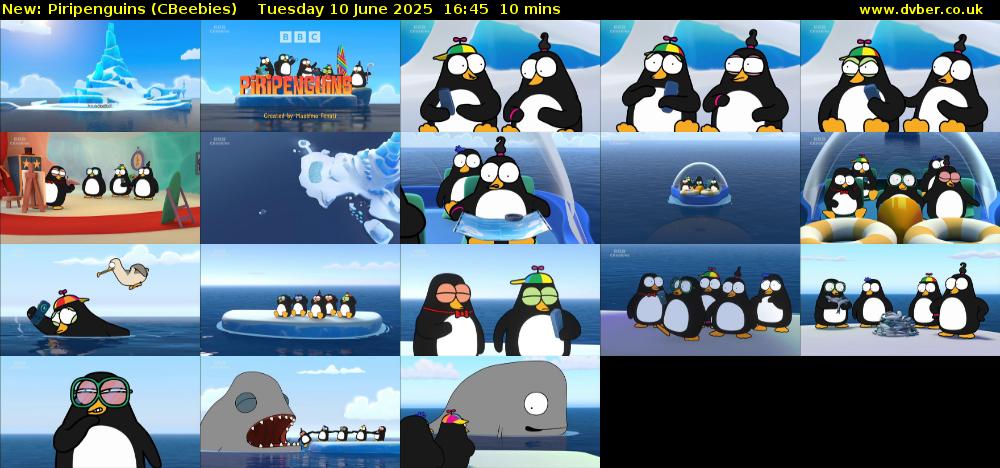 Piripenguins (CBeebies) Tuesday 10 June 2025 16:45 - 16:55
