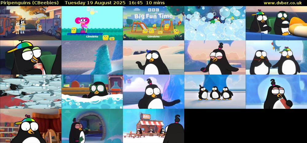 Piripenguins (CBeebies) Tuesday 19 August 2025 16:45 - 16:55