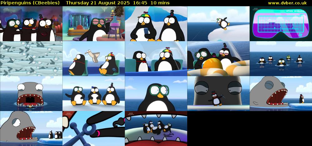 Piripenguins (CBeebies) Thursday 21 August 2025 16:45 - 16:55