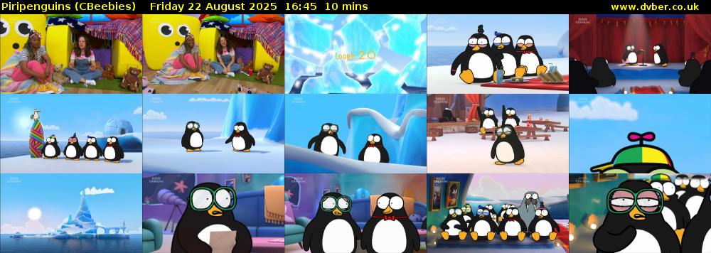 Piripenguins (CBeebies) Friday 22 August 2025 16:45 - 16:55