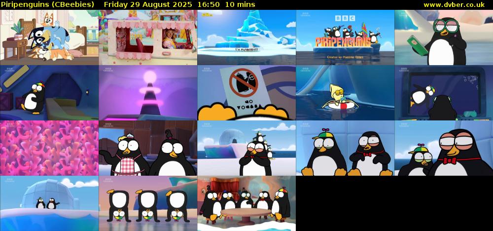 Piripenguins (CBeebies) Friday 29 August 2025 16:50 - 17:00