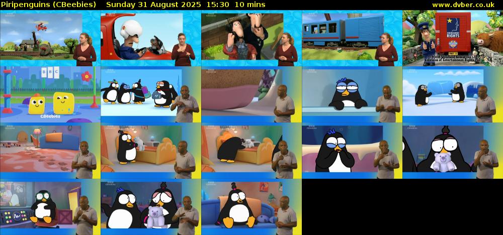 Piripenguins (CBeebies) Sunday 31 August 2025 15:30 - 15:40