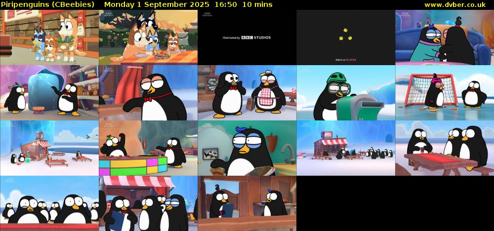 Piripenguins (CBeebies) Monday 1 September 2025 16:50 - 17:00