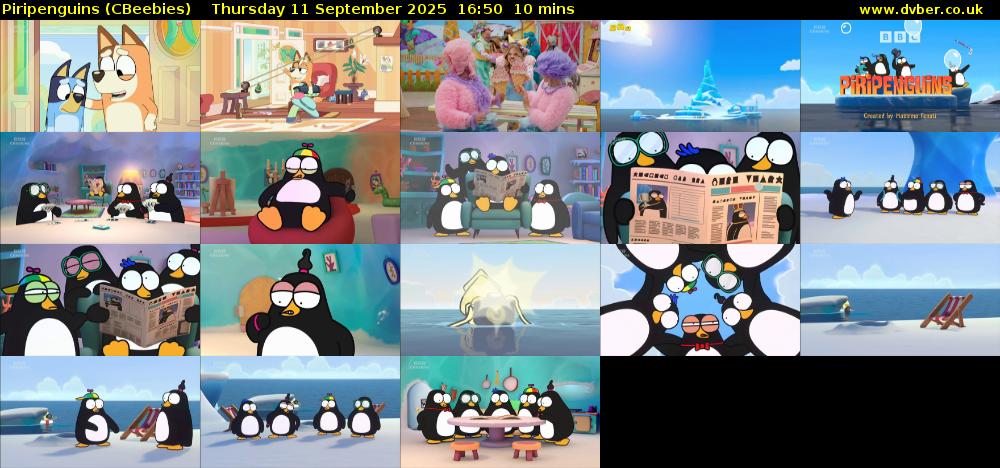 Piripenguins (CBeebies) Thursday 11 September 2025 16:50 - 17:00