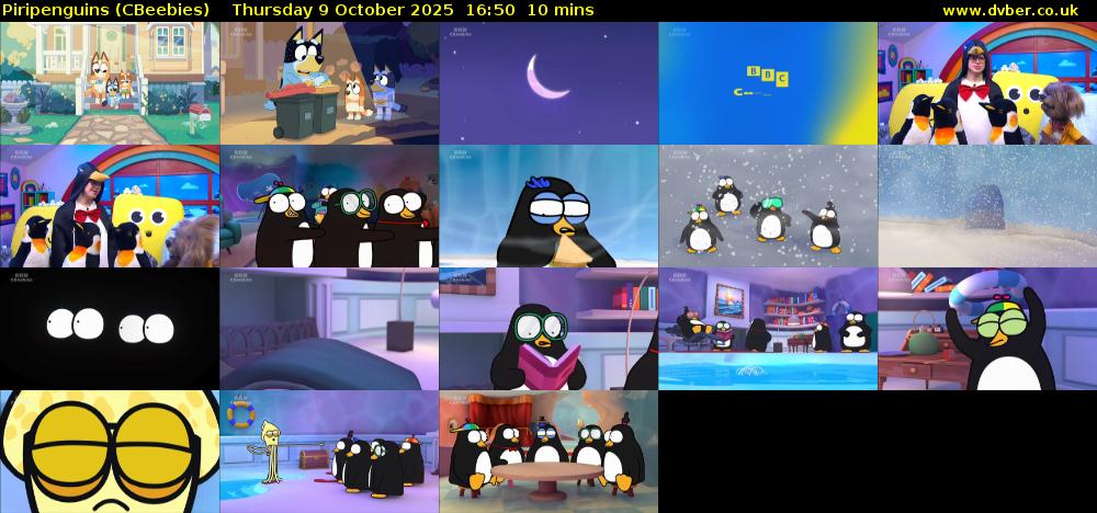 Piripenguins (CBeebies) Thursday 9 October 2025 16:50 - 17:00