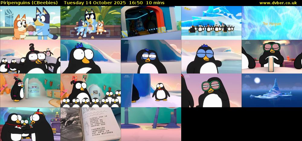 Piripenguins (CBeebies) Tuesday 14 October 2025 16:50 - 17:00