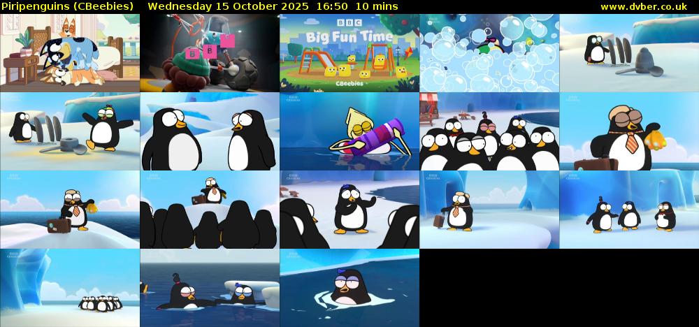 Piripenguins (CBeebies) Wednesday 15 October 2025 16:50 - 17:00