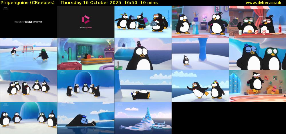 Piripenguins (CBeebies) Thursday 16 October 2025 16:50 - 17:00
