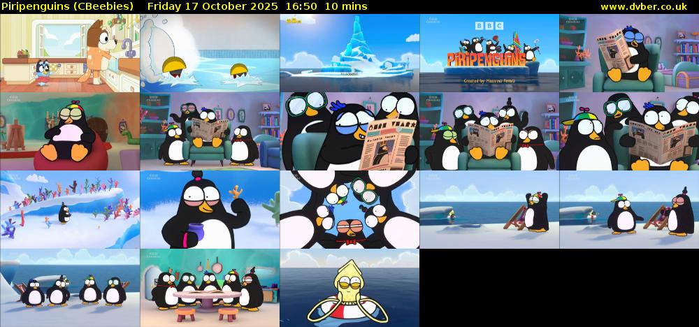 Piripenguins (CBeebies) Friday 17 October 2025 16:50 - 17:00
