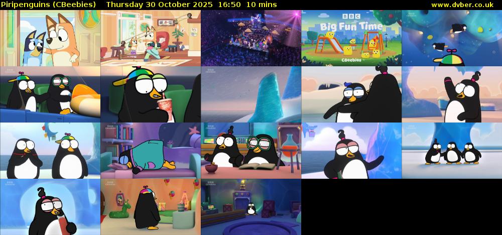 Piripenguins (CBeebies) Thursday 30 October 2025 16:50 - 17:00
