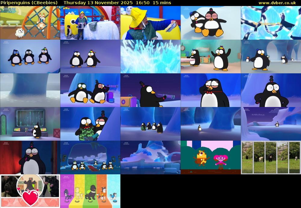 Piripenguins (CBeebies) Thursday 13 November 2025 16:50 - 17:05