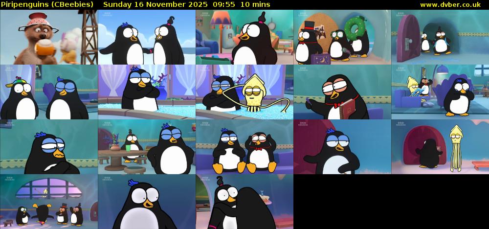 Piripenguins (CBeebies) Sunday 16 November 2025 09:55 - 10:05