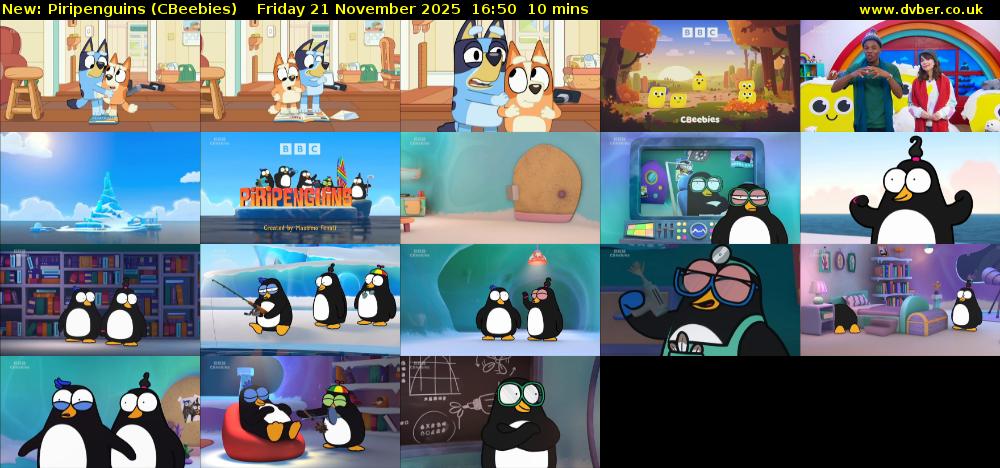 Piripenguins (CBeebies) Friday 21 November 2025 16:50 - 17:00