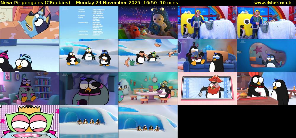 Piripenguins (CBeebies) Monday 24 November 2025 16:50 - 17:00