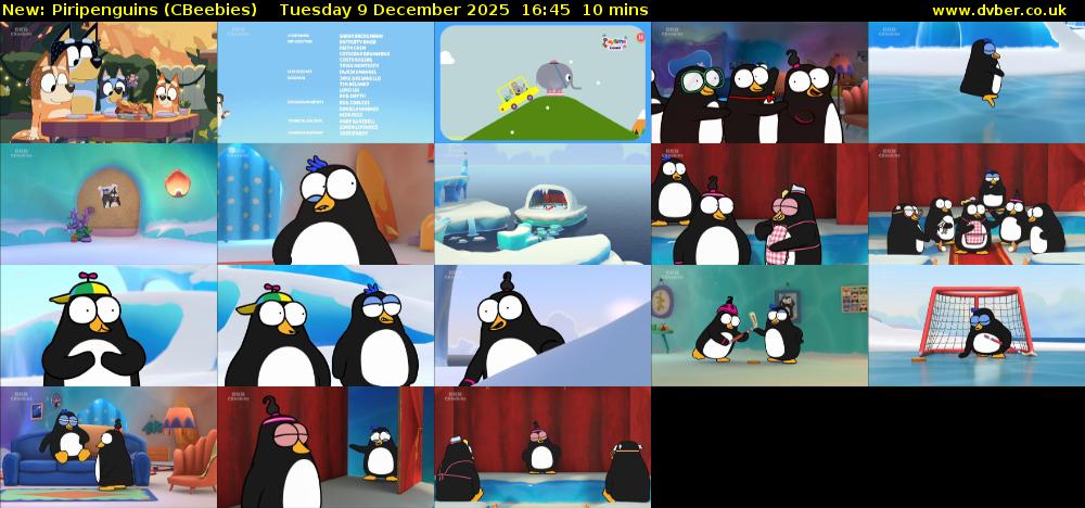 Piripenguins (CBeebies) Tuesday 9 December 2025 16:45 - 16:55