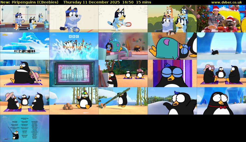 Piripenguins (CBeebies) Thursday 11 December 2025 16:50 - 17:05