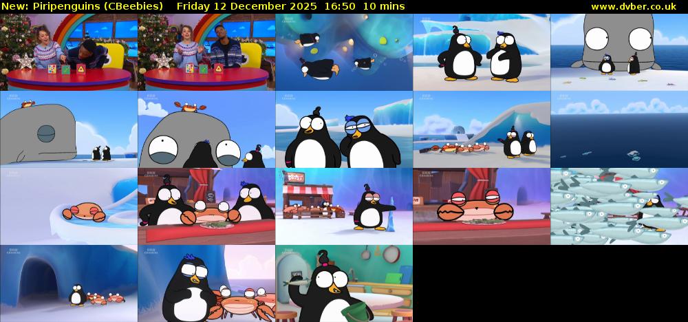Piripenguins (CBeebies) Friday 12 December 2025 16:50 - 17:00