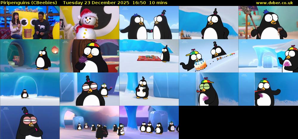Piripenguins (CBeebies) Tuesday 23 December 2025 16:50 - 17:00