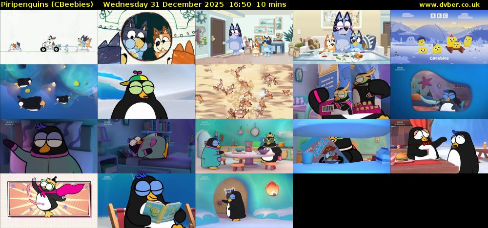 Piripenguins (CBeebies) Wednesday 31 December 2025 16:50 - 17:00
