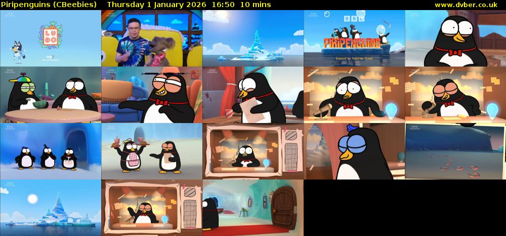 Piripenguins (CBeebies) Thursday 1 January 2026 16:50 - 17:00