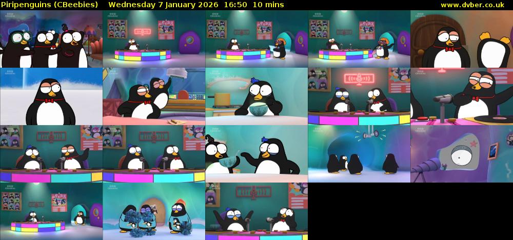 Piripenguins (CBeebies) Wednesday 7 January 2026 16:50 - 17:00
