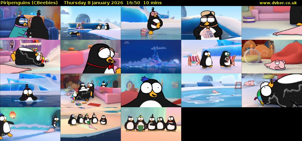 Piripenguins (CBeebies) Thursday 8 January 2026 16:50 - 17:00