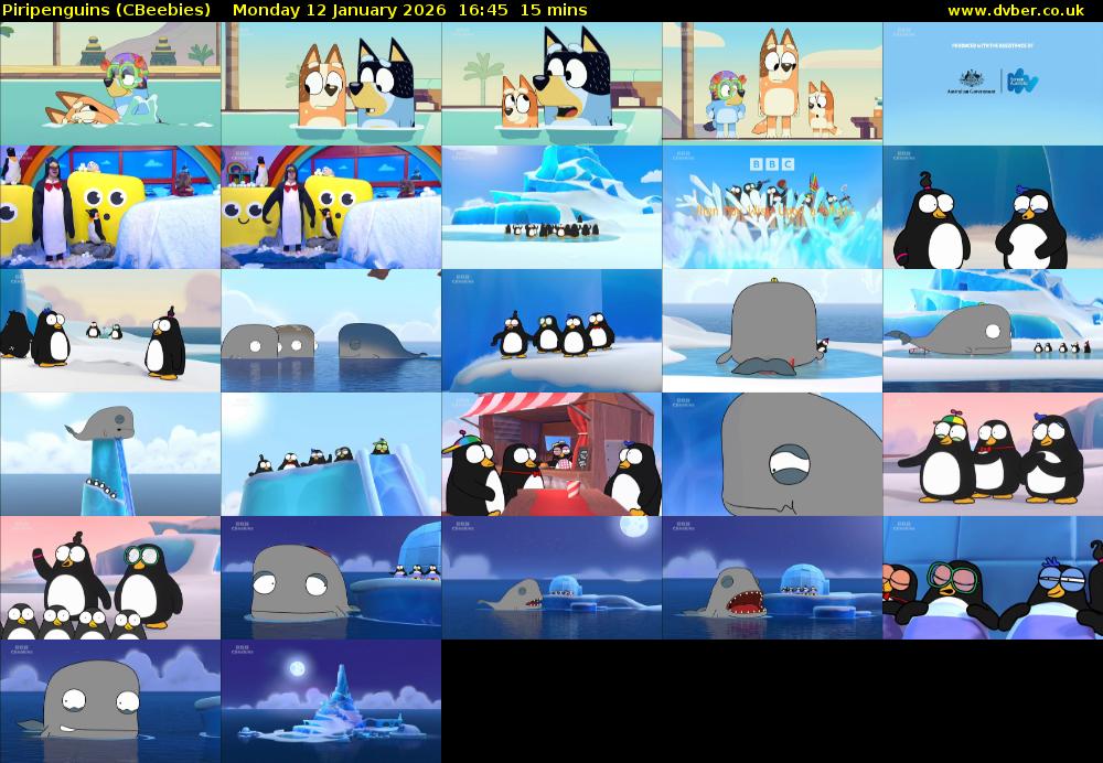 Piripenguins (CBeebies) Monday 12 January 2026 16:45 - 17:00