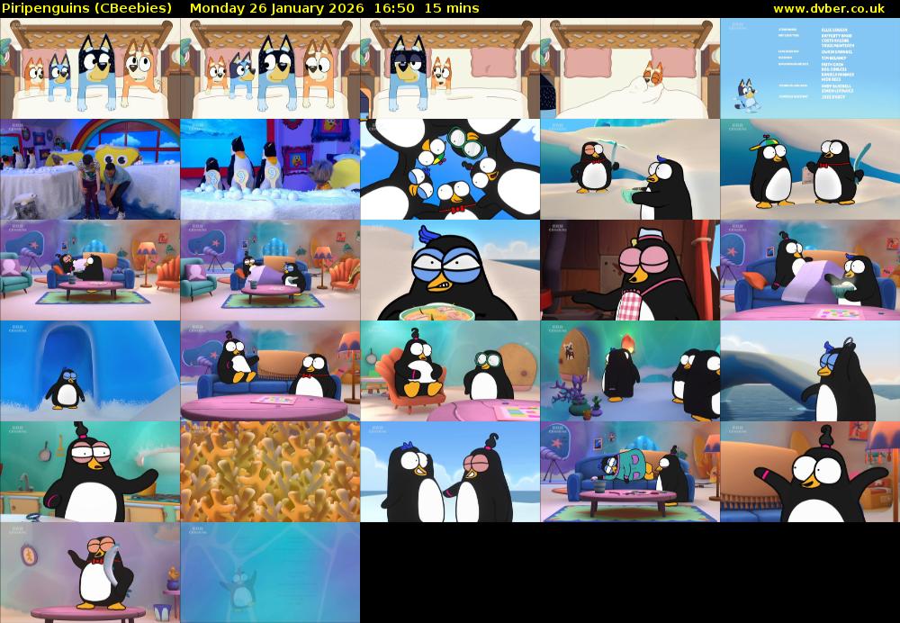 Piripenguins (CBeebies) Monday 26 January 2026 16:50 - 17:05