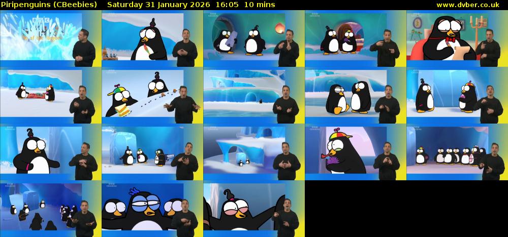 Piripenguins (CBeebies) Saturday 31 January 2026 16:05 - 16:15