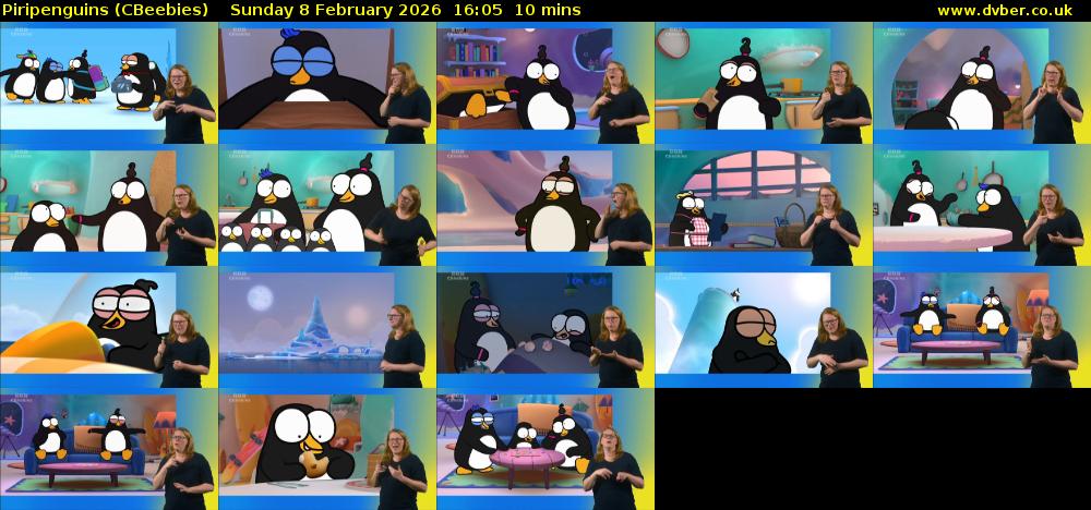 Piripenguins (CBeebies) Sunday 8 February 2026 16:05 - 16:15