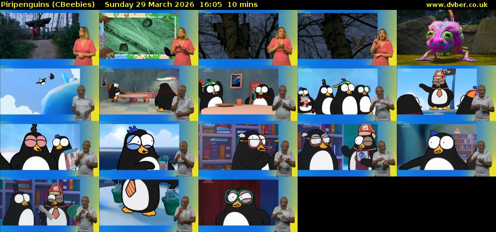 Piripenguins (CBeebies) Sunday 29 March 2026 16:05 - 16:15