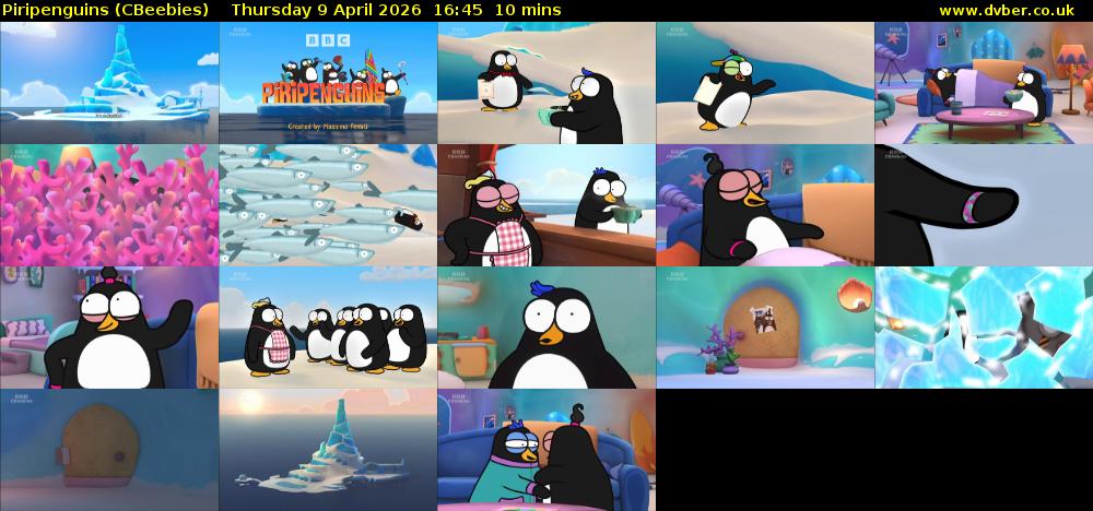 Piripenguins (CBeebies) Thursday 9 April 2026 16:45 - 16:55
