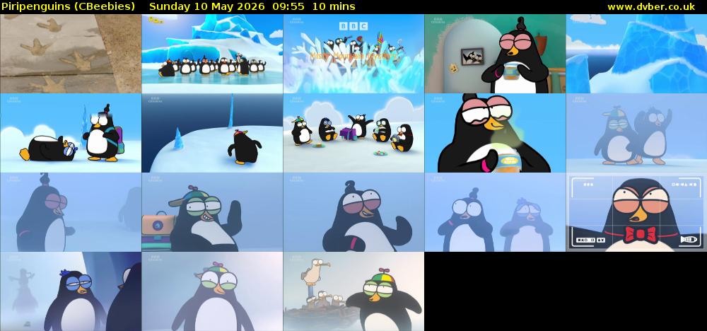 Piripenguins (CBeebies) Sunday 10 May 2026 09:55 - 10:05