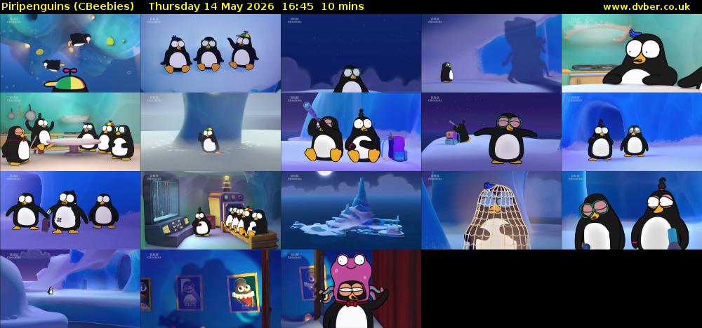 Piripenguins (CBeebies) Thursday 14 May 2026 16:45 - 16:55
