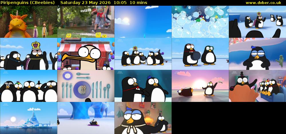 Piripenguins (CBeebies) Saturday 23 May 2026 10:05 - 10:15