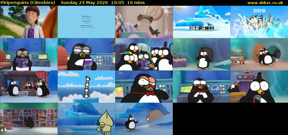 Piripenguins (CBeebies) Sunday 24 May 2026 10:05 - 10:15