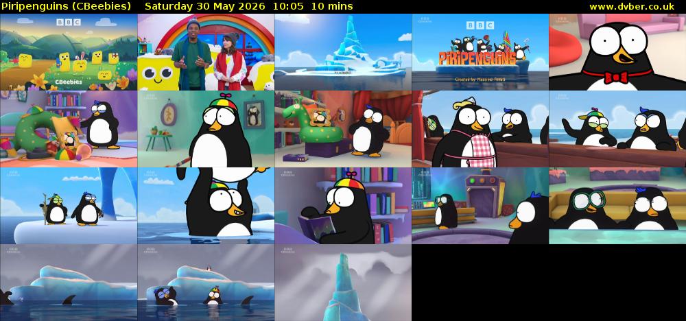 Piripenguins (CBeebies) Saturday 30 May 2026 10:05 - 10:15