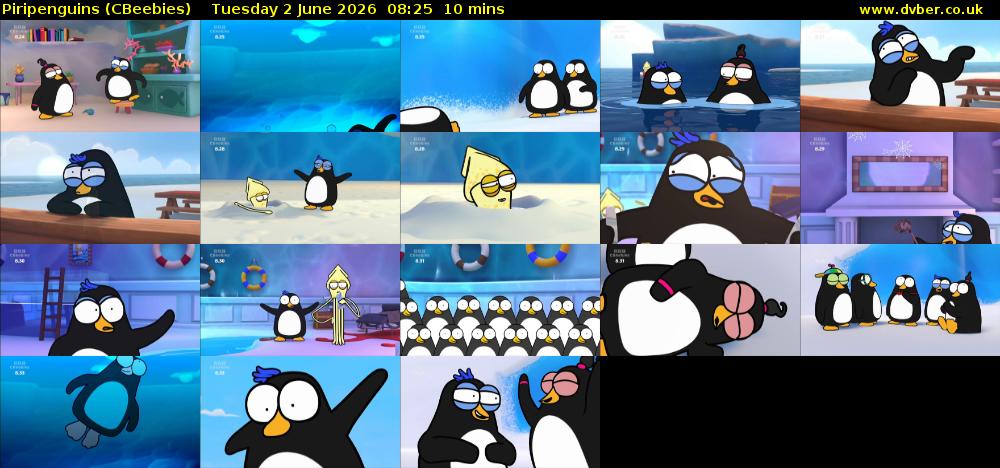 Piripenguins (CBeebies) Tuesday 2 June 2026 08:25 - 08:35