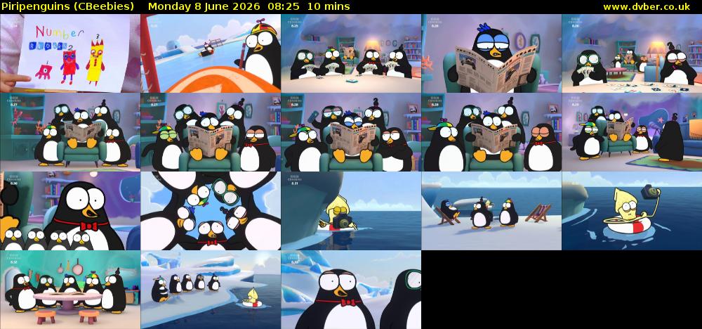 Piripenguins (CBeebies) Monday 8 June 2026 08:25 - 08:35