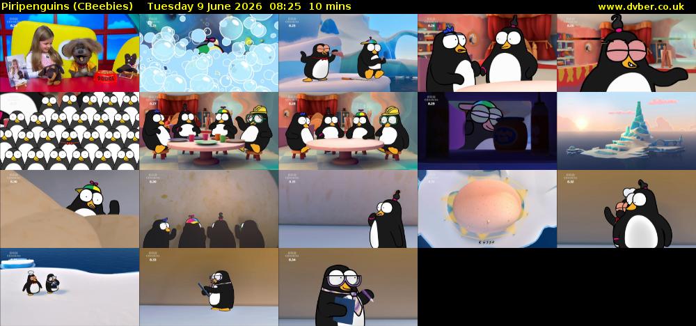 Piripenguins (CBeebies) Tuesday 9 June 2026 08:25 - 08:35