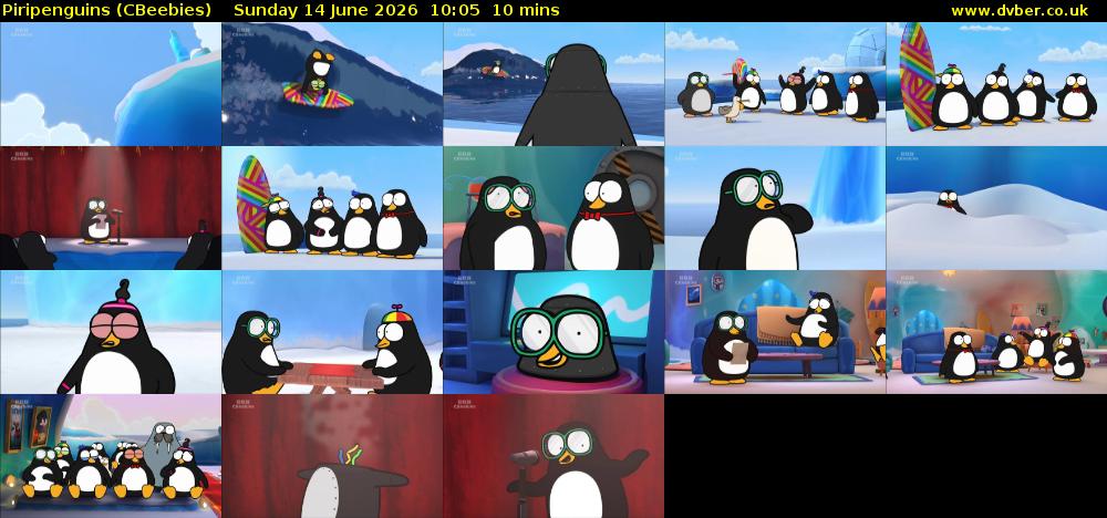 Piripenguins (CBeebies) Sunday 14 June 2026 10:05 - 10:15