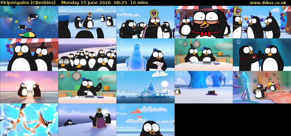 Piripenguins (CBeebies) Monday 15 June 2026 08:25 - 08:35