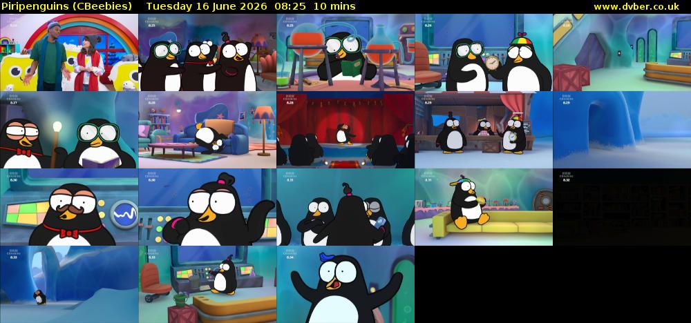 Piripenguins (CBeebies) Tuesday 16 June 2026 08:25 - 08:35
