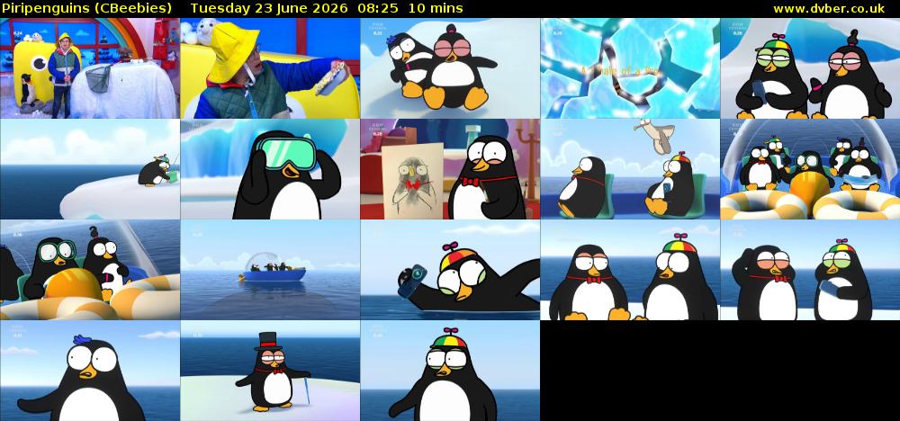 Piripenguins (CBeebies) Tuesday 23 June 2026 08:25 - 08:35