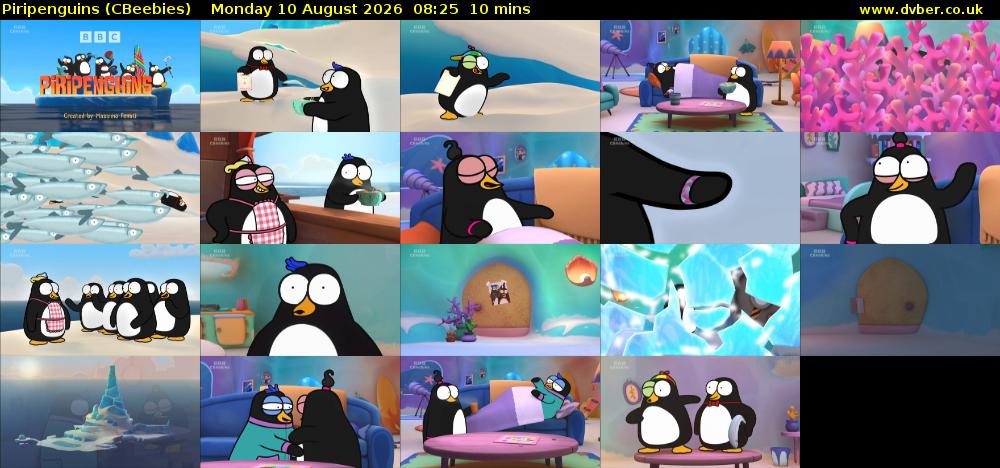 Piripenguins (CBeebies) Monday 10 August 2026 08:25 - 08:35