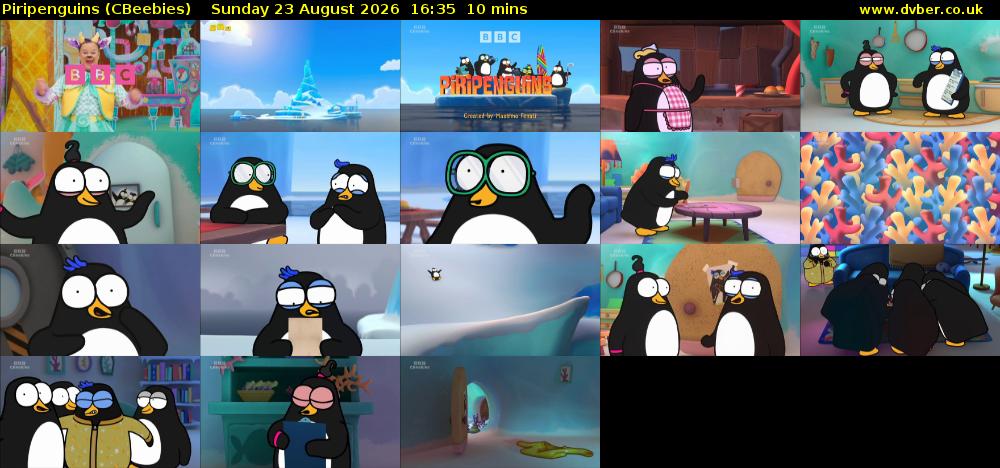 Piripenguins (CBeebies) Sunday 23 August 2026 16:35 - 16:45
