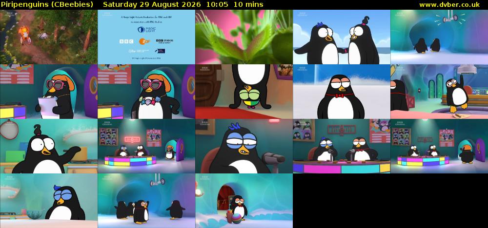 Piripenguins (CBeebies) Saturday 29 August 2026 10:05 - 10:15