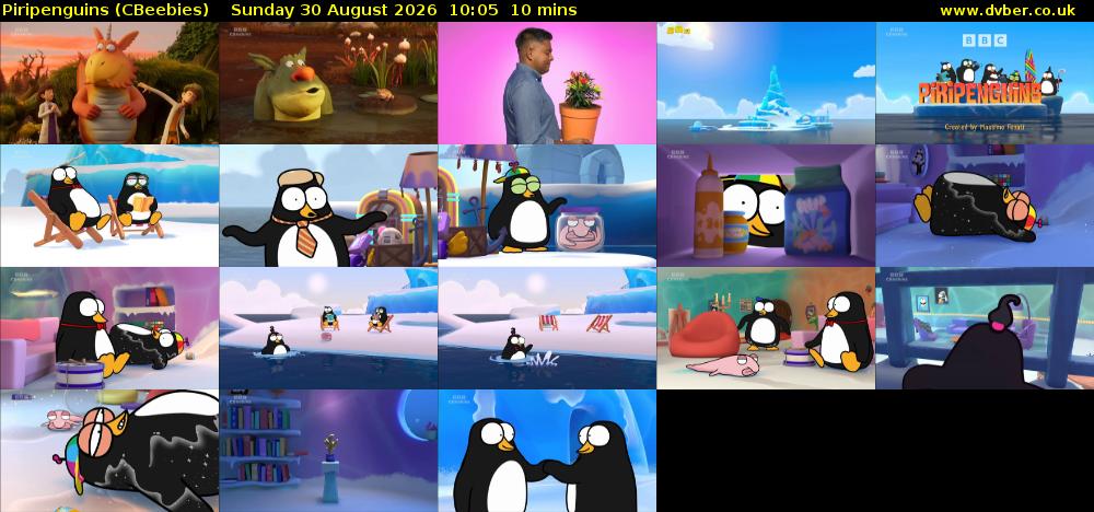 Piripenguins (CBeebies) Sunday 30 August 2026 10:05 - 10:15